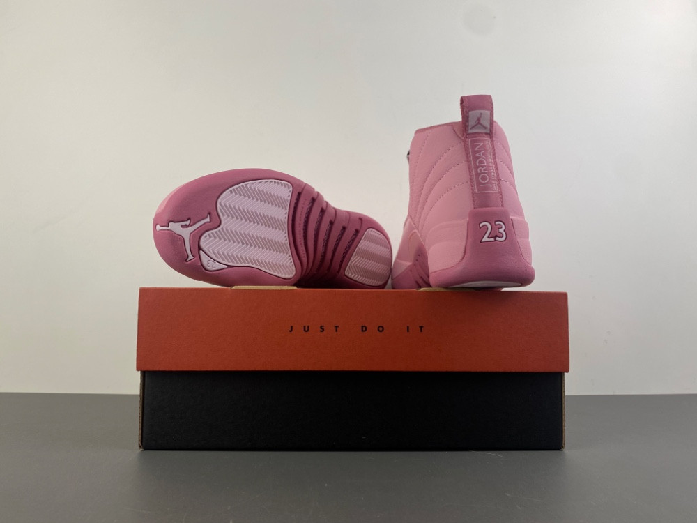 Air Jordan 12